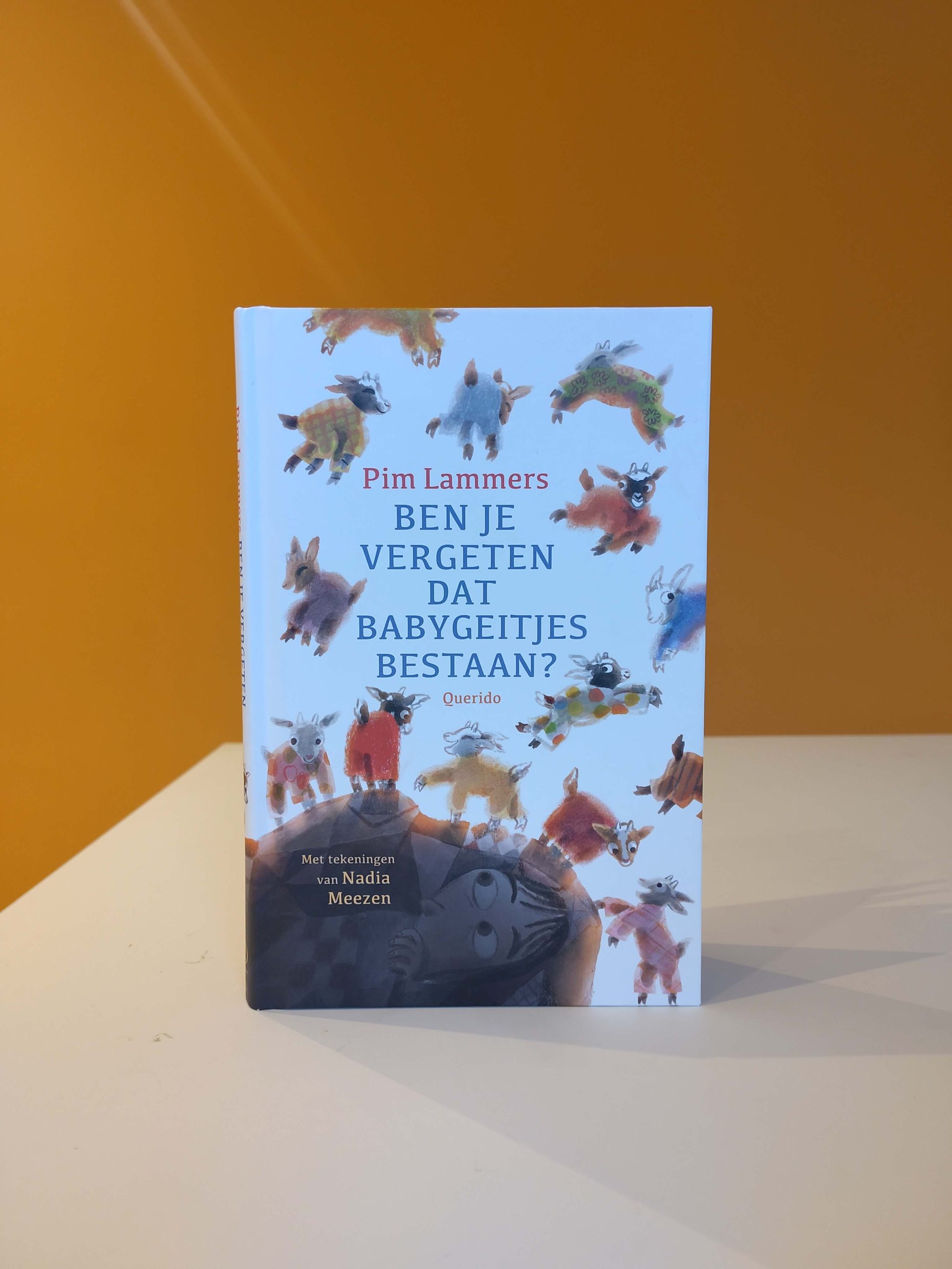 Recensie Pim Lammers Nadia Meezen Querido Ben je vergeten dat babygeitjes bestaan